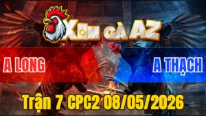 Trận 7 CPC2 08/05/2026 - Bông Chấp Ngông Gặp Bướm Cọp Và Cái Kết Hư Hình
