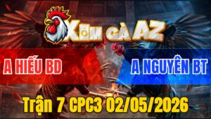 Trận 7 CPC3 02/05/2026 - Phèn Cọp Đá Đâm Như Chĩa Xám Hư Hình Tại Chỗ