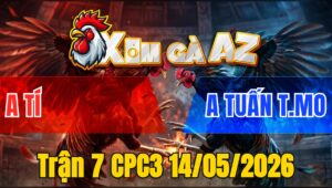 Trận 7 CPC3 14/05/2026 - Gà Xanh Đá Cựa Quá Dính Đỏ Không Chịu Nổi