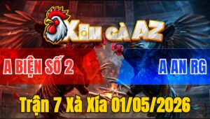 Trận 7 Xà Xía 01/05/2026 - Bướm Chồng Độ Vẫn Thắng Đẳng Cấp Trận Gà Này