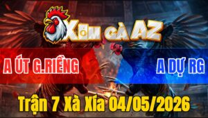 Trận 7 Xà Xía 04/05/2026 - Bướm Đá Đòn Như Sấm Sét Điều Lật Xe Chưa Tới 3 Chân