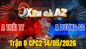 Trận 8 CPC2 14/05/2026 - Gà Anh Dương Sài Gòn Đá Như 1 Cơn Gió