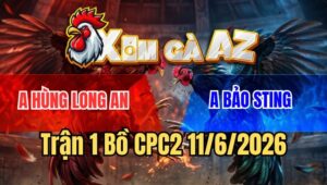 Trận 1 CPC2 11/6/2026: Bướm Hiệu Bảo Sting Ngậm Máu Đâm Điều Bỏ Chạy