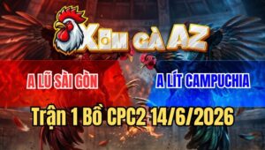 Trận 1 CPC2 15/6/2026: Gà Vàng Anh Lũ Đâm Điều Nước Bạn Quẹo Cổ