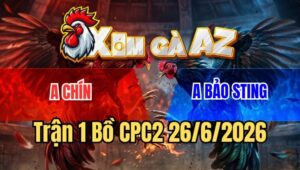Trận 1 CPC2 26/6/2026: Khét Cọp Anh Chín Đá Gà Vàng Bảo Sting Tai Biến