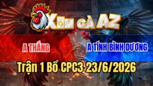 Trận 1 CPC3 23/6/2026: Xanh Đá Tốc Độ Đâm Đỏ Cây Bỏ Chạy Bay Bồ