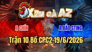 Trận 10 CPC2 19/6/2026: Bướm Hiệu Bảo Sting Phút 90 Đá Bo Như Cây Đập