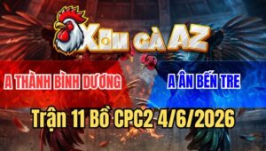 Trận 11 CPC2 4/6/2026: Vô Kính Điều Đá Cây Cần Vàng Phèn Bung Chạy