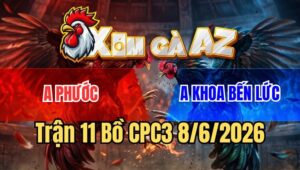 Trận 11 CPC3 8/6/2026: Điều Anh Khoa Đá Rát, Chú Khanh Ôm Gà Xin Hàng