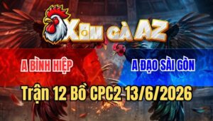 Trận 12 CPC2 13/6/2026: Que Canh Chặn Hay Úa Gãy Giò Móc Tiền Chung