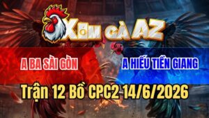 Trận 12 CPC2 15/6/2026: Vô Kính Điều Chửa Đá Bướm Đã Chạy Mất Dép