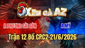 Trận 12 CPC2 21/6/2026: Điều Đá Như Sấm Sét Khét Gãy Giò Lết Chạy