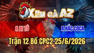 Trận 12 CPC2 25/6/2026: Bướm Hiệu Đâm Phát Nào, Phèn Bán Muối Phát Đó