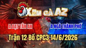 Trận 12 CPC3 14/6/2026: Cú Bắt Hoa Bắt Bướm, Đâm Úa Tai Biến Cực Nét