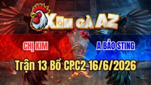 Trận 13 CPC2 16/6/2026: Bướm Bảo Sting Đâm Úa Chị Kim Bể Phao Câu