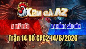 Trận 14 CPC2 15/6/2026: Đám Bướm Hiệu Chú Mỹ Liều Đâm Cựa Như Phát Xít