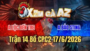 Trận 14 CPC2 17/6/2026: Gà Bảo Sting Chưa Kịp Nhấc Chân Đã Gặp Tử Thần