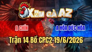 Trận 14 CPC2 19/6/2026: Bướm Nhẹ Hơn Nhưng Đâm Xám Không Kịp Tránh Né