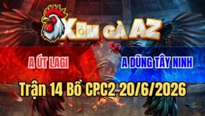 Trận 14 CPC2 20/6/2026: Điều Nhảy Một Phát, Bướm Lọt Tim Ói Rũ Cánh