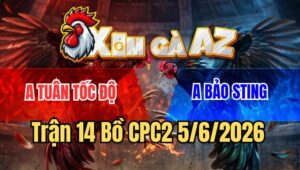 Trận 14 CPC2 5/6/2026: Điều Bông Chồng Độ Hạ Sát Cọp Idol Bảo Sting