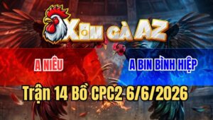 Trận 14 CPC2 6/6/2026: Xanh Đá Đúng Một Chân Vào Nách Đỏ Ngã Ngửa Chết