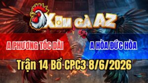 Trận 14 CPC3 8/6/2026: Hai Con Đâm Cựa Quá Ác, Vô Kính Bỏ Mặt Hòa
