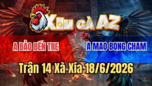 Trận 14 Xà Xía 18/6/2026: Bướm Lên 2 Đá Như Xe Đụng 3 Chân Hạ Gà Điều