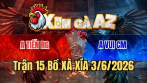 Trận 15 Xà Xía 3/6/2026: Gà Que Nhỏ Mà Chấp Láo Bướm Vả Sấp Mặt