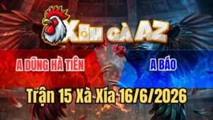 Trận 15 Xà Xía 16/6/2026: Xanh Chồng Độ Đá Như Cái Máy Đỏ Té Tuyệt Đối
