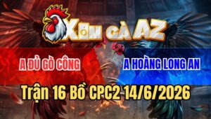 Trận 16 CPC2 15/6/2026: Bướm Chú Mỹ Gãy Giò, Có Chân Xạo Lờ Phản 5 Lai