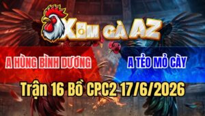 Trận 16 CPC2 17/6/2026: Điều Đá Úa Cây Lưng Úa Gồng Đá Lại Điều Ói Xỉu