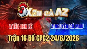 Trận 16 CPC2 24/6/2026: Xanh Chồng Độ Chấp Láo Và Cái Kết Trắng Tay