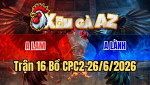 Trận 16 CPC2 26/6/2026: Điều Đồng Ký Đá 1 Cựa Bú Vô Mu Lưng Lụm Xổ 500
