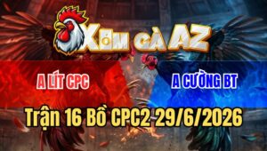 Trận 16 Bồ CPC2 29/6/2026 - Que Đá Đâm Như Giang Hồ Điều Chịu Không Nổi Bỏ Chạy Giữ Mạng
