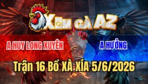 Trận 16 Xà Xía 5/6/2026: Bướm Camelo Anh Huy Đâm Như Điện Giật