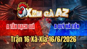 Trận 16 Xà Xía 16/6/2026: Bướm Anh Quý Nhanh Lẹ Đá Đòn Như Cây Đập