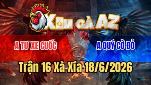 Trận 16 Xà Xía 18/6/2026: Điều Đá Đòn Như Sấm Sét Úa Vứa Ói Vừa Chạy