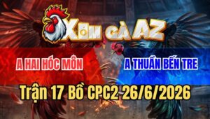 Trận 17 CPC2 26/6/2026: Điều Cọp Anh Hai Đâm Gà Cú Không Kịp Nhấc Chân