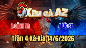 Trận 4 Xà Xía 14/6/2026