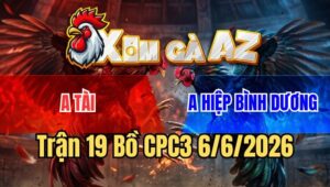 Trận 19 CPC3 6/6/2026: Điều Nạp Cựa Như Mưa, Bướm Râu Bay Vô Là Rụng