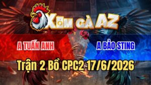 Trận 2 CPC2 17/6/2026: Bướm Chà Mấy Chân, Xám Cọp Bảo Sting Ói Hết Cứu