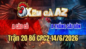 Trận 20 CPC2 15/6/2026: Điều Đâm Như Máy Điện, Bướm Gục Trên Biển Máu