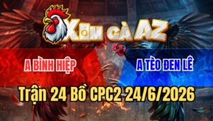 Trận 24 CPC2 24/6/2026: Điều Chặn Hụt Một Nhịp, Bị Gà Cú Đá Té Ói Máu