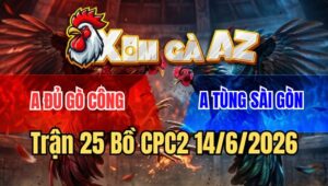 Trận 25 CPC2 15/6/2026: Gà Úa Chú Mỹ Liều Thoát Chết Phản 5 Lai