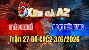 Trận 27 CPC2 3/6/2026: Úa Anh Tèo Lọt Gió Cam Đột Tử Trong Tích Tắc
