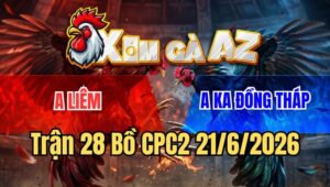 Trận 28 CPC2 21/6/2026: Điều Đứng Chịu Đòn Gồng Tang Hòa Quá Hay