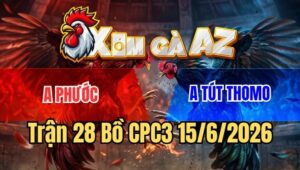Trận 28 CPC3 15/6/2026: Que Cọp Đâm Xám Chú Khanh Té Chổng Ngược
