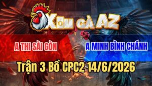 Trận 3 CPC2 15/6/2026: Điều So So Để 1 Cây Úa Gãy Giò Đứng Hết Nổi