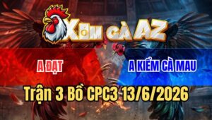 Trận 3 CPC3 13/6/2026: Gà Anh Kiểm Kém 3 Chấm Đá Đối Thủ Bể Hộp Số