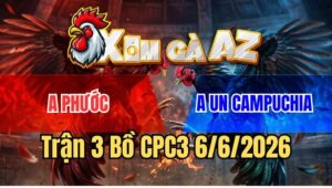 Trận 3 CPC3 6/6/2026: Điều Chân Xanh Hạ Gà Cú Trong Một Nốt Nhạc